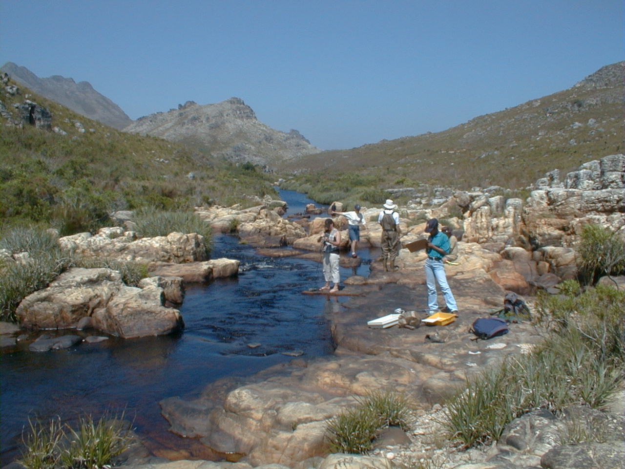 Palmiet River_3